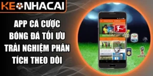 app cá cược bóng đá
