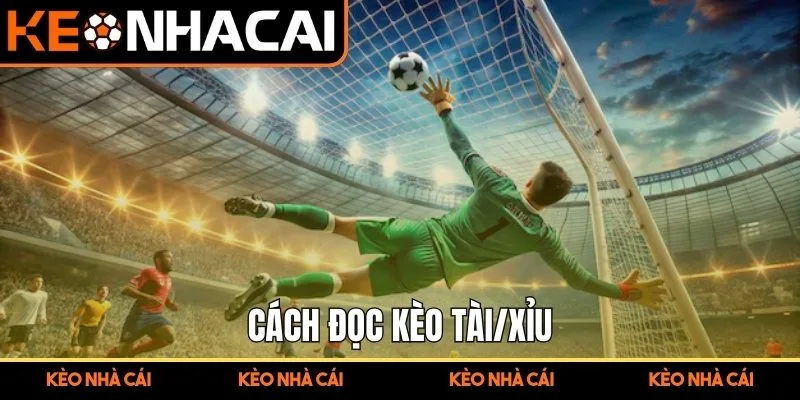 Cách đọc kèo Tài/Xỉu