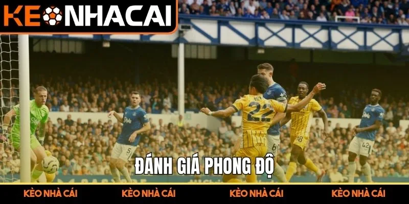 Đánh giá phong độ 